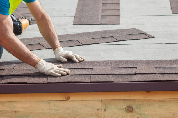 Best Roof Moss and Algae Removal  in Chantilly, VA
